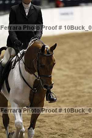 Proof 10buck_0920