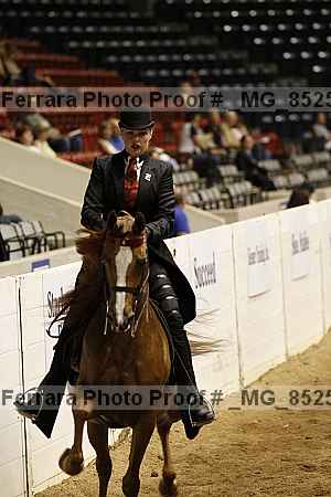 Proof _mg_8525