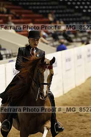 Proof _mg_8527