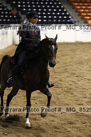 Proof _mg_8529