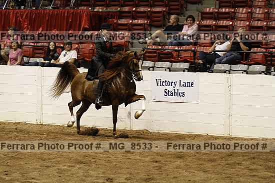 Proof _mg_8533