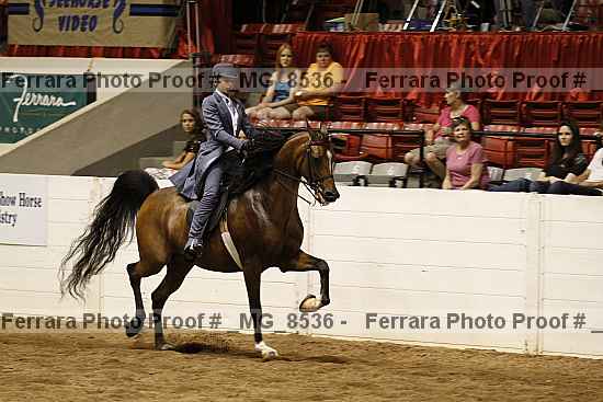 Proof _mg_8536