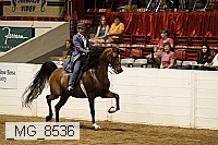 _mg_8536 proof