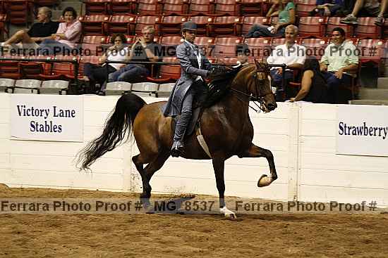 Proof _mg_8537