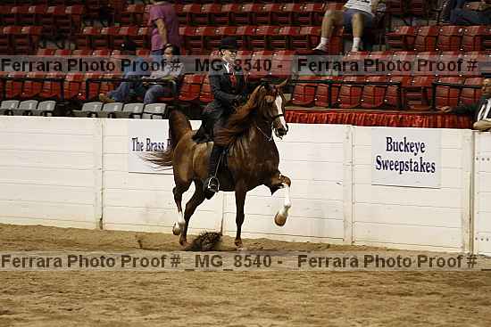 Proof _mg_8540