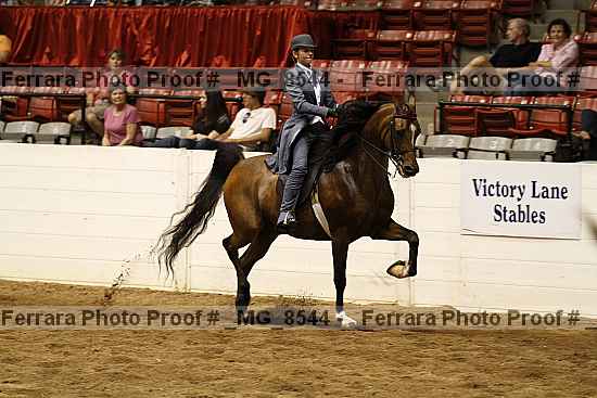 Proof _mg_8544