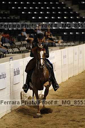 Proof _mg_8553