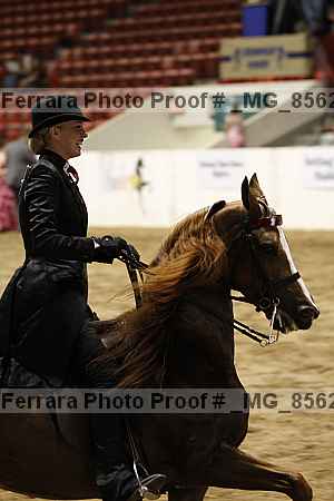Proof _mg_8562