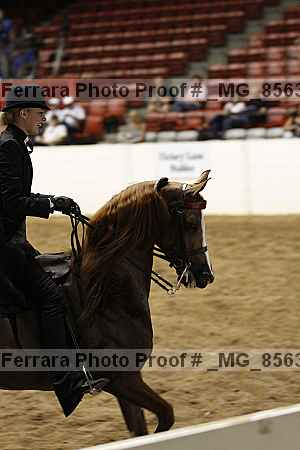 Proof _mg_8563