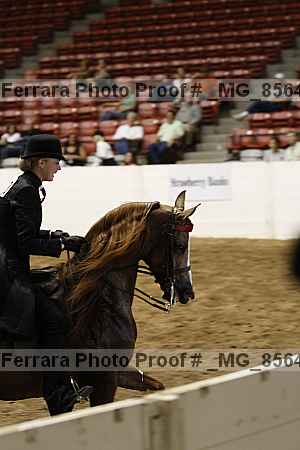 Proof _mg_8564