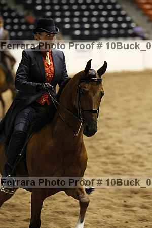 Proof 10buck_0968