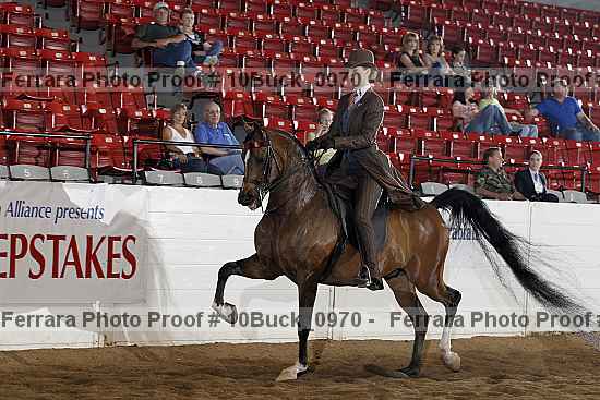 Proof 10buck_0970