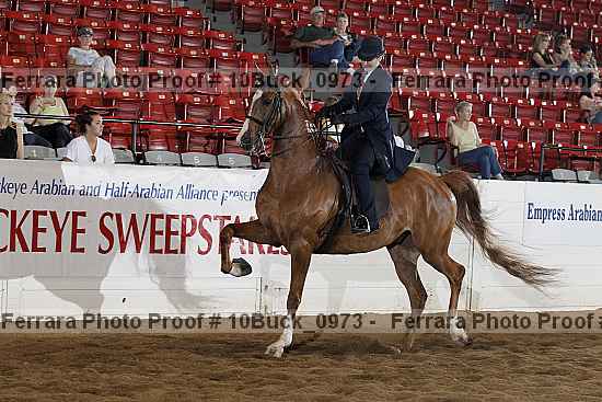 Proof 10buck_0973