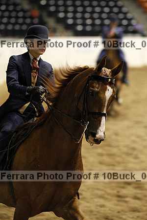 Proof 10buck_0975