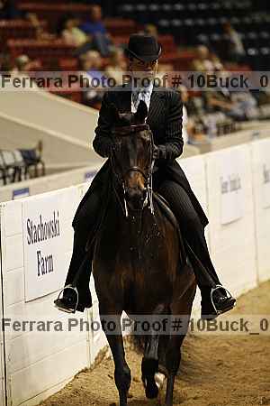 Proof 10buck_0984