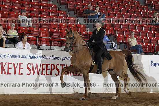 Proof 10buck_0986
