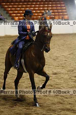 Proof 10buck_0990