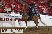 10buck_0992 proof