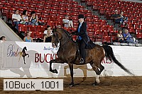 10buck_1001 proof