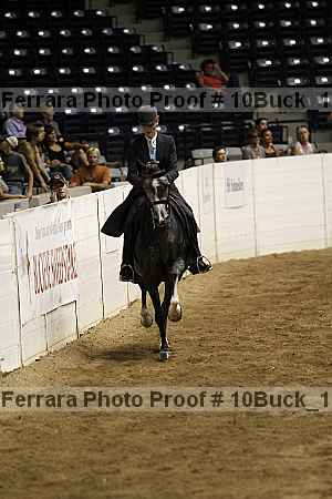 Proof 10buck_1022