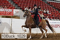 10buck_1029 proof