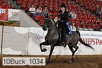 10buck_1034 proof