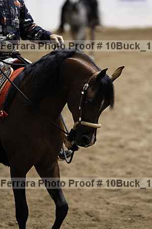 Proof 10buck_1039