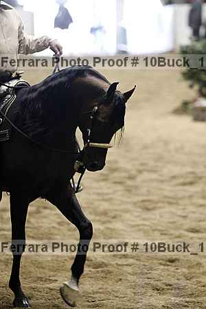 Proof 10buck_1050