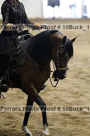 Proof 10buck_1053