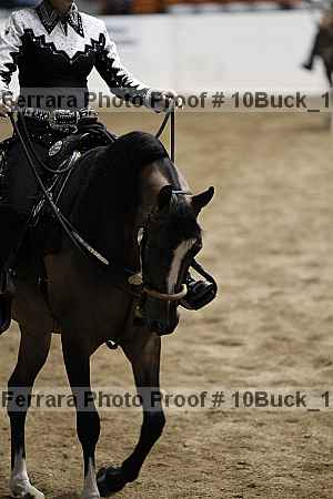 Proof 10buck_1057