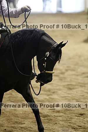 Proof 10buck_1062