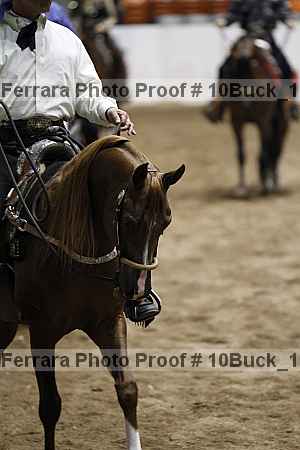 Proof 10buck_1067