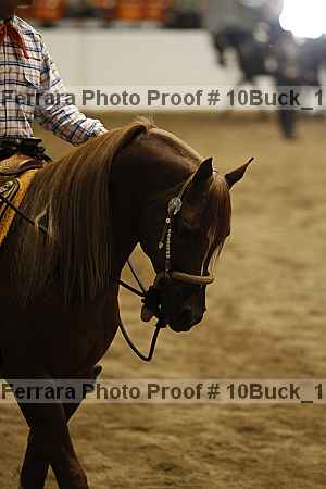 Proof 10buck_1075