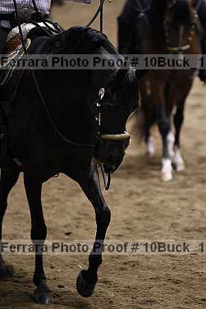 Proof 10buck_1080
