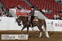 10buck_1082 proof
