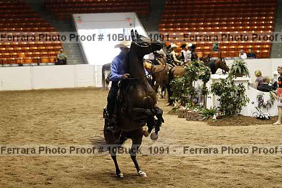 Proof 10buck_1091