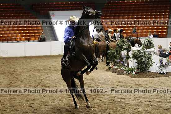 Proof 10buck_1092