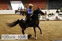 10buck_1095 proof