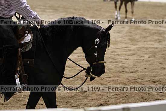Proof 10buck_1109
