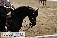 10buck_1109 proof