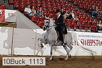 10buck_1113 proof