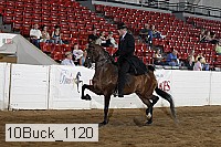 10buck_1120 proof