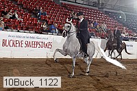 10buck_1122 proof