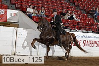 10buck_1125 proof