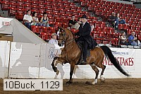 10buck_1129 proof
