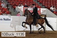 10buck_1135 proof