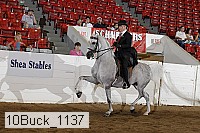 10buck_1137 proof
