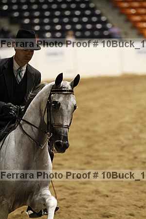 Proof 10buck_1140
