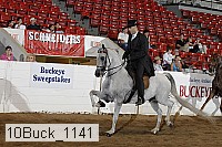 10buck_1141 proof