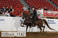 10buck_1142 proof